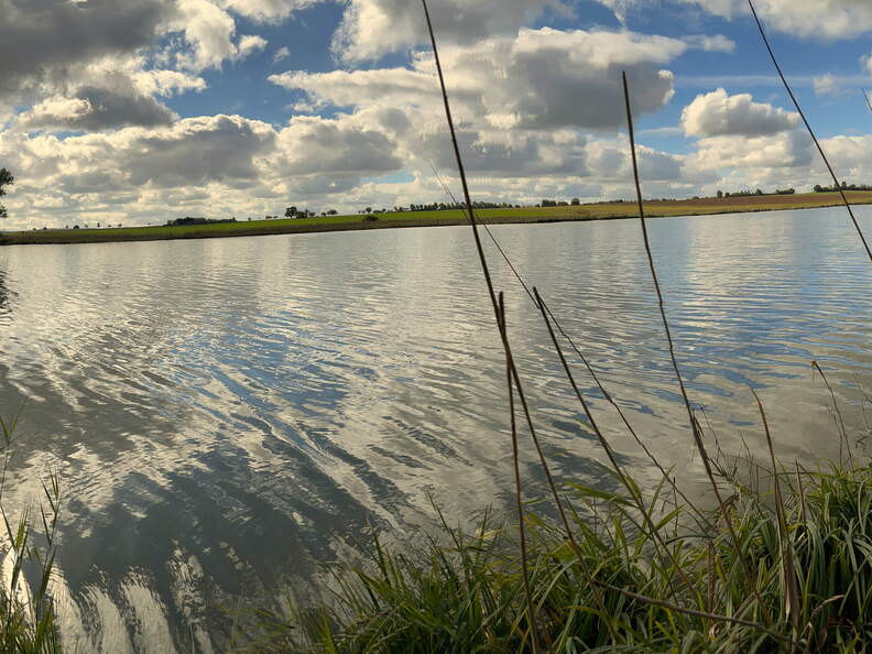 22-10-03 12-27-34 2201